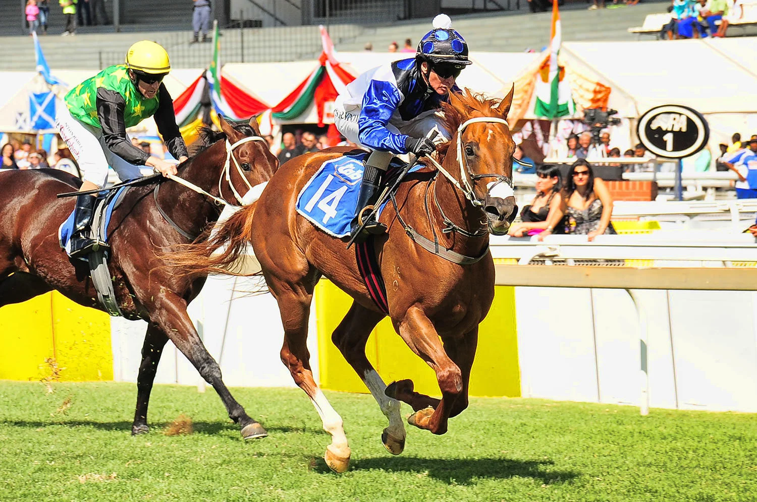 Willow Magic (Dubawi)