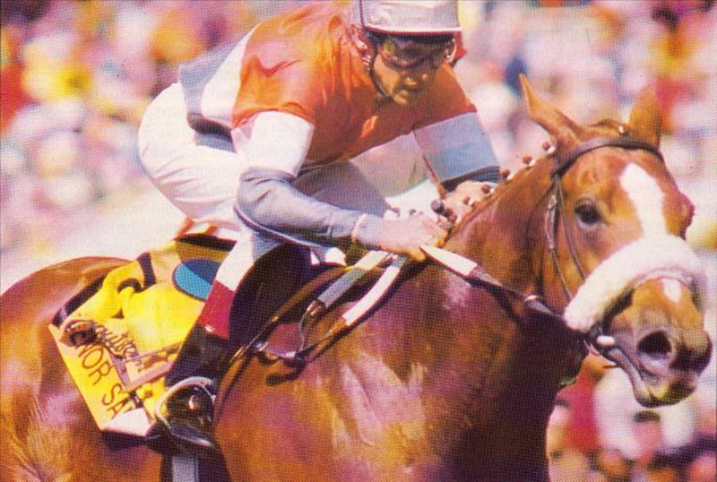 Senor Santa winning the 1993 Computaform Sprint
