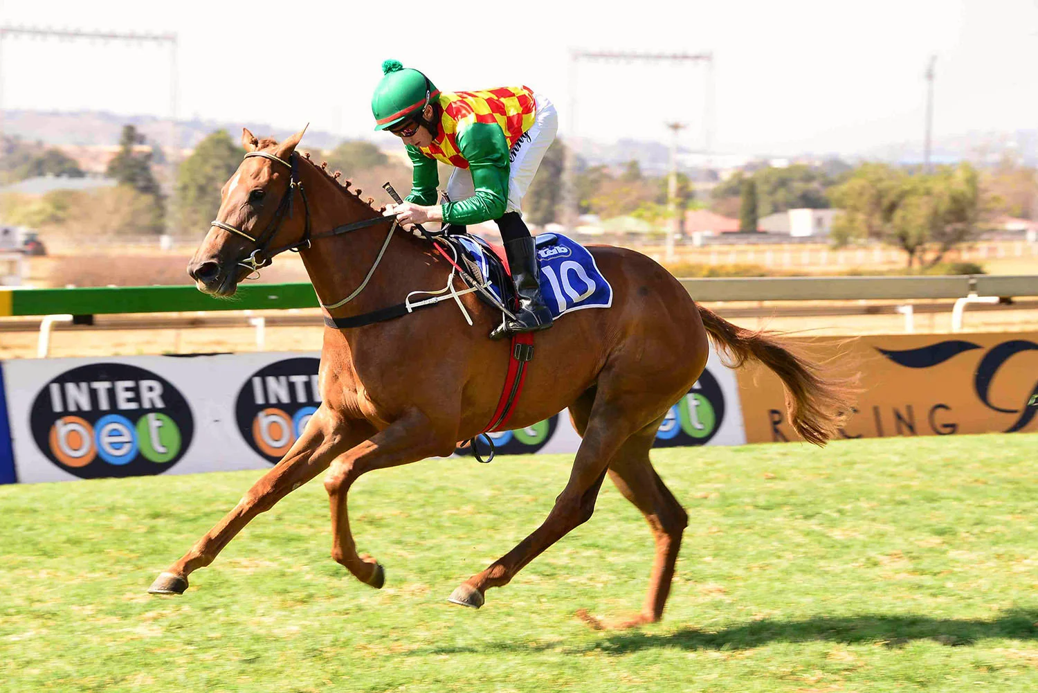 Miss Turbo (Visionaire - Jet Park)
