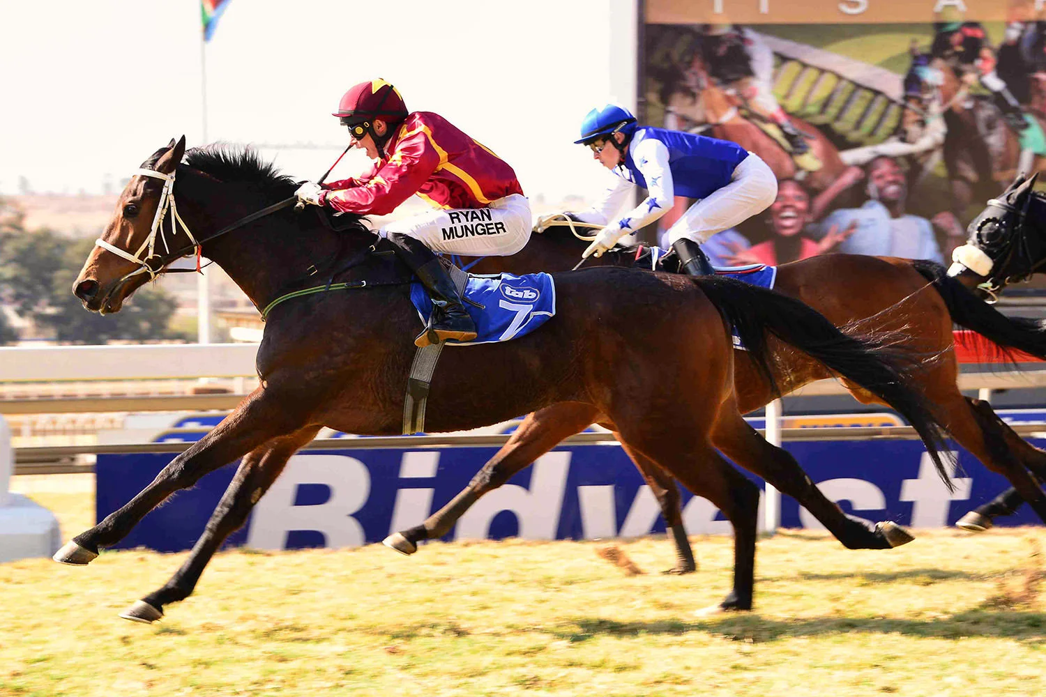 Lebeoana (AP Arrow - Arabian Magic)