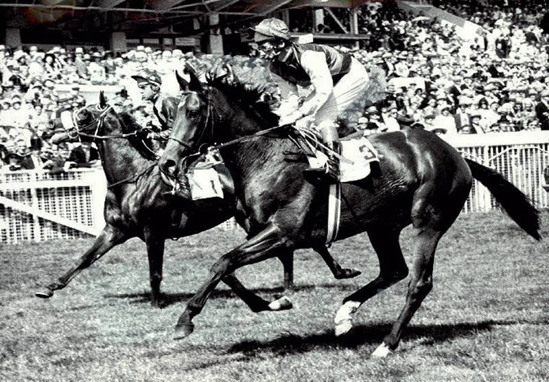 Nijinsky II / Horseracing Vault (p)