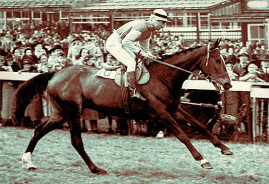 Cottage Rake - Cheltenham Gold Cup (1948) / Daily Mail (p)