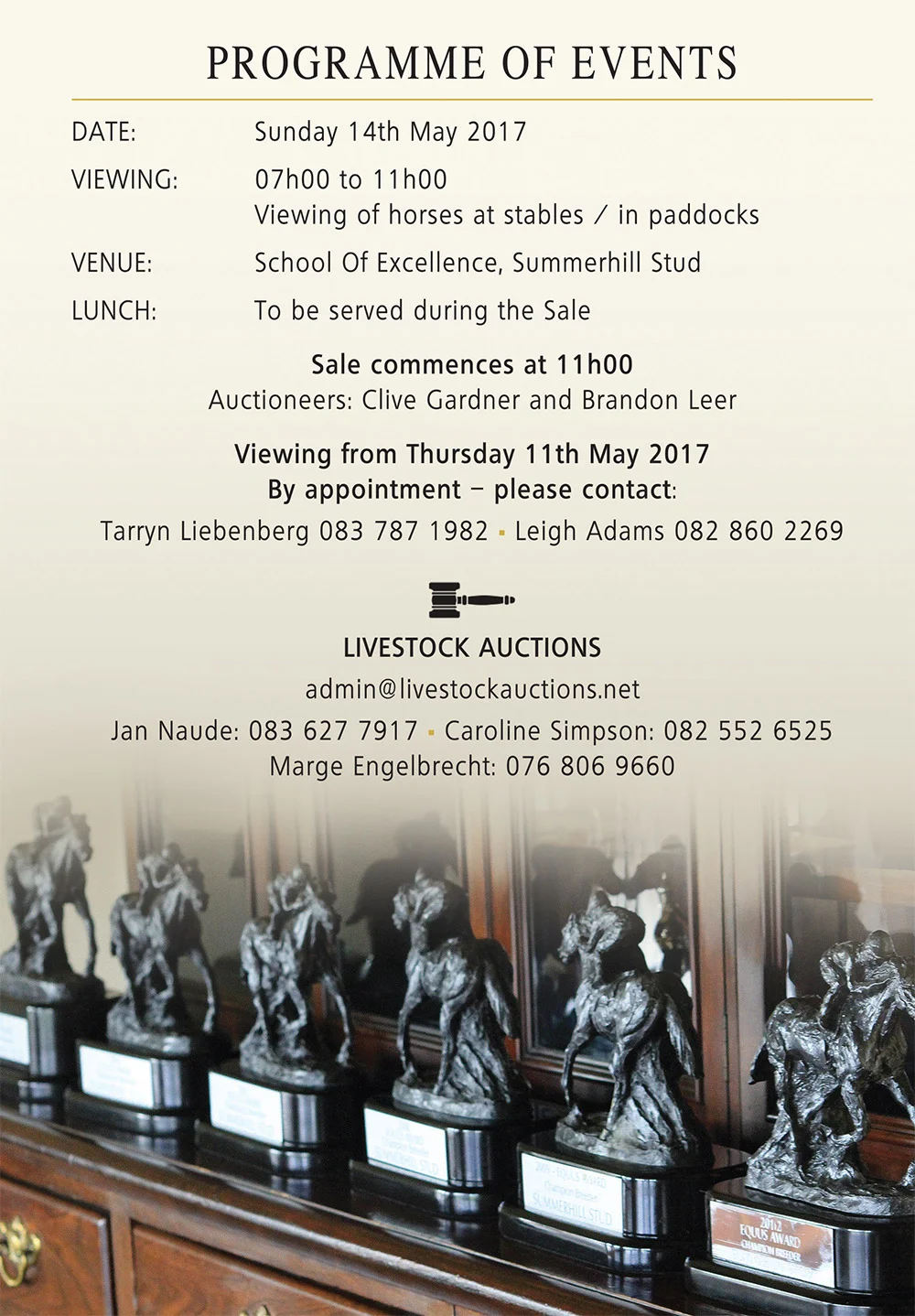 Pop Up Racehorse Auction