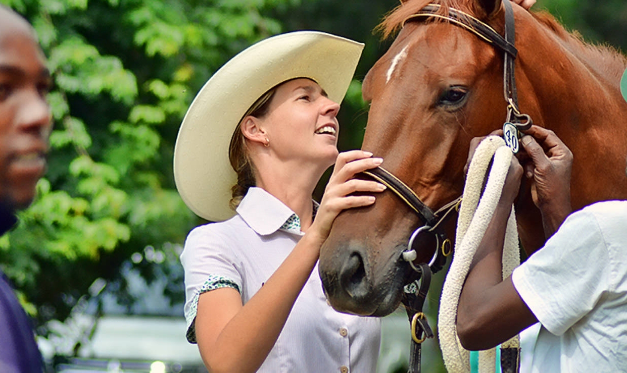 Ready To Run Sale Summerhill Stud