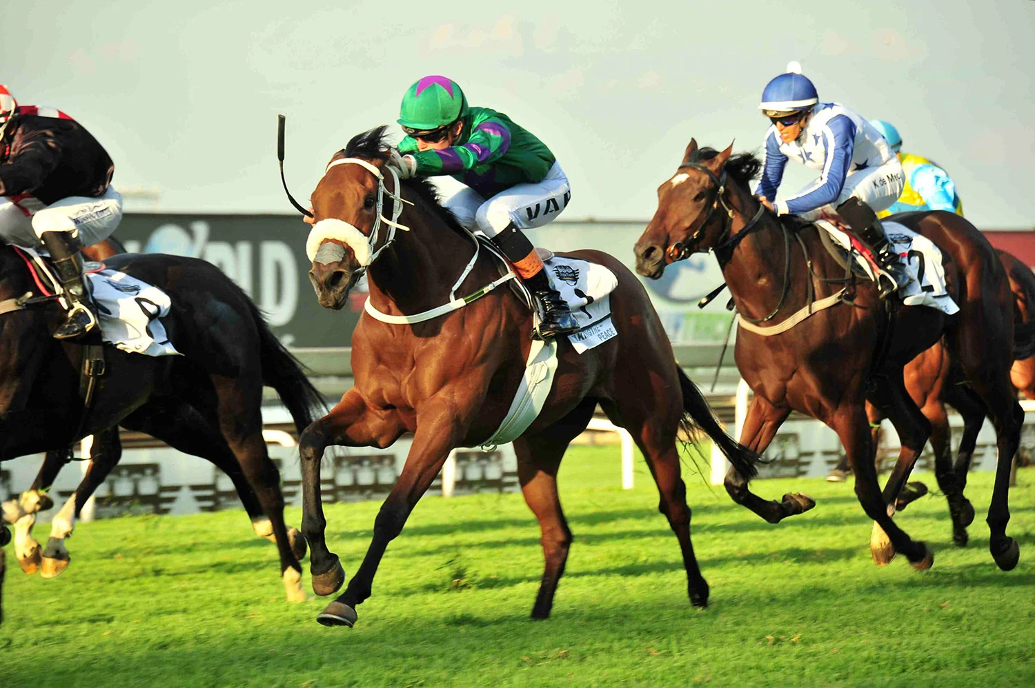 takingthepeace-horse-win.jpg
