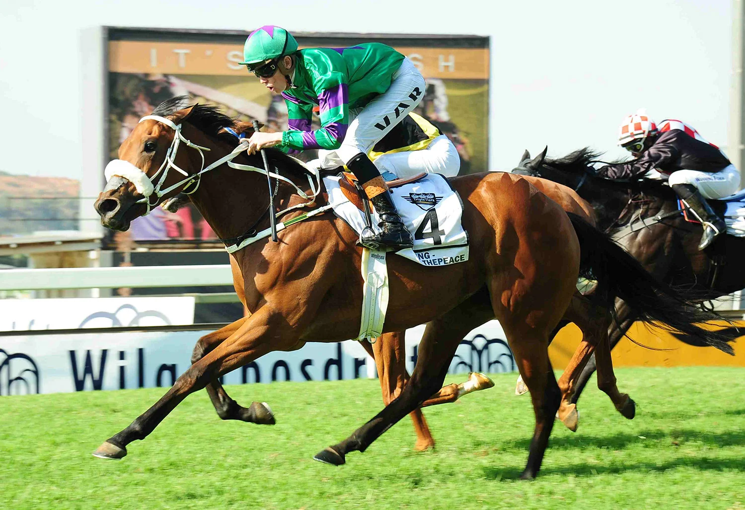 takingthepeace-fillies-guineas.jpg