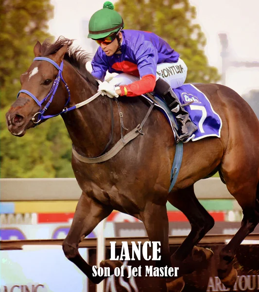 Stallions-Thumbnails-Lance.jpg