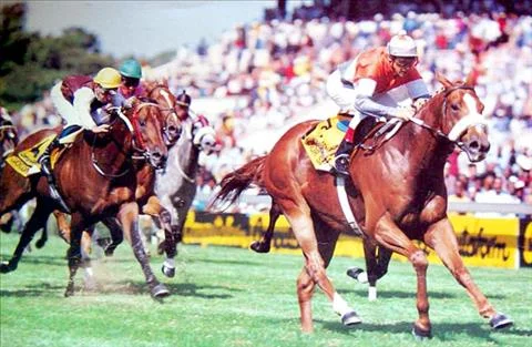 Senor Santa / Computaform Sprint Gr1 (1993)