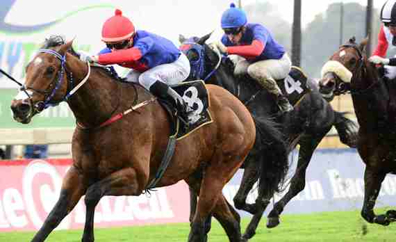 Wonderwall – our maiden pinhook / Sporting Post
