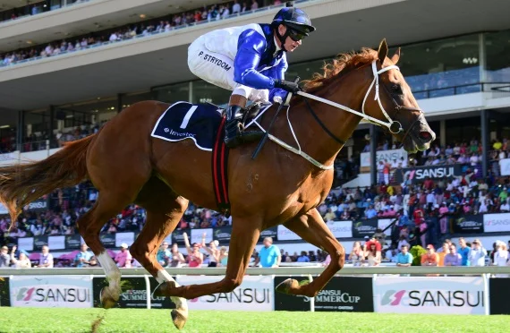 Willow Magic – couldn’t afford them / Sporting Post