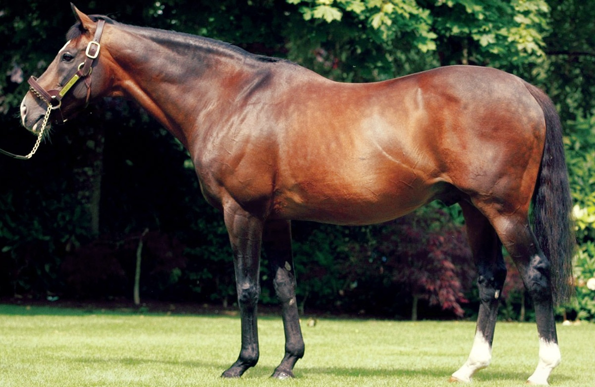 Sadler’s Wells / Bloodhorse (p)