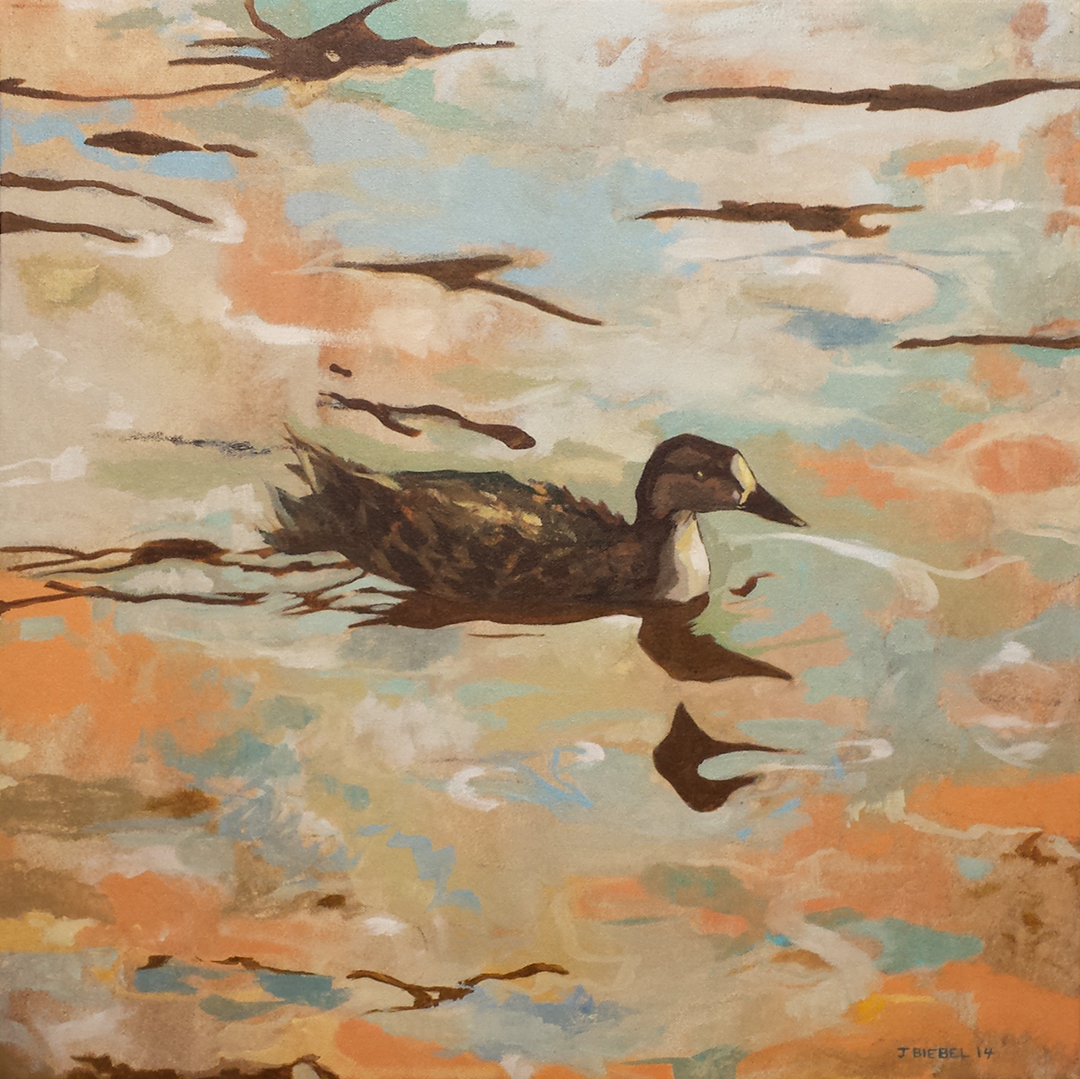 Duck on Walden Pond