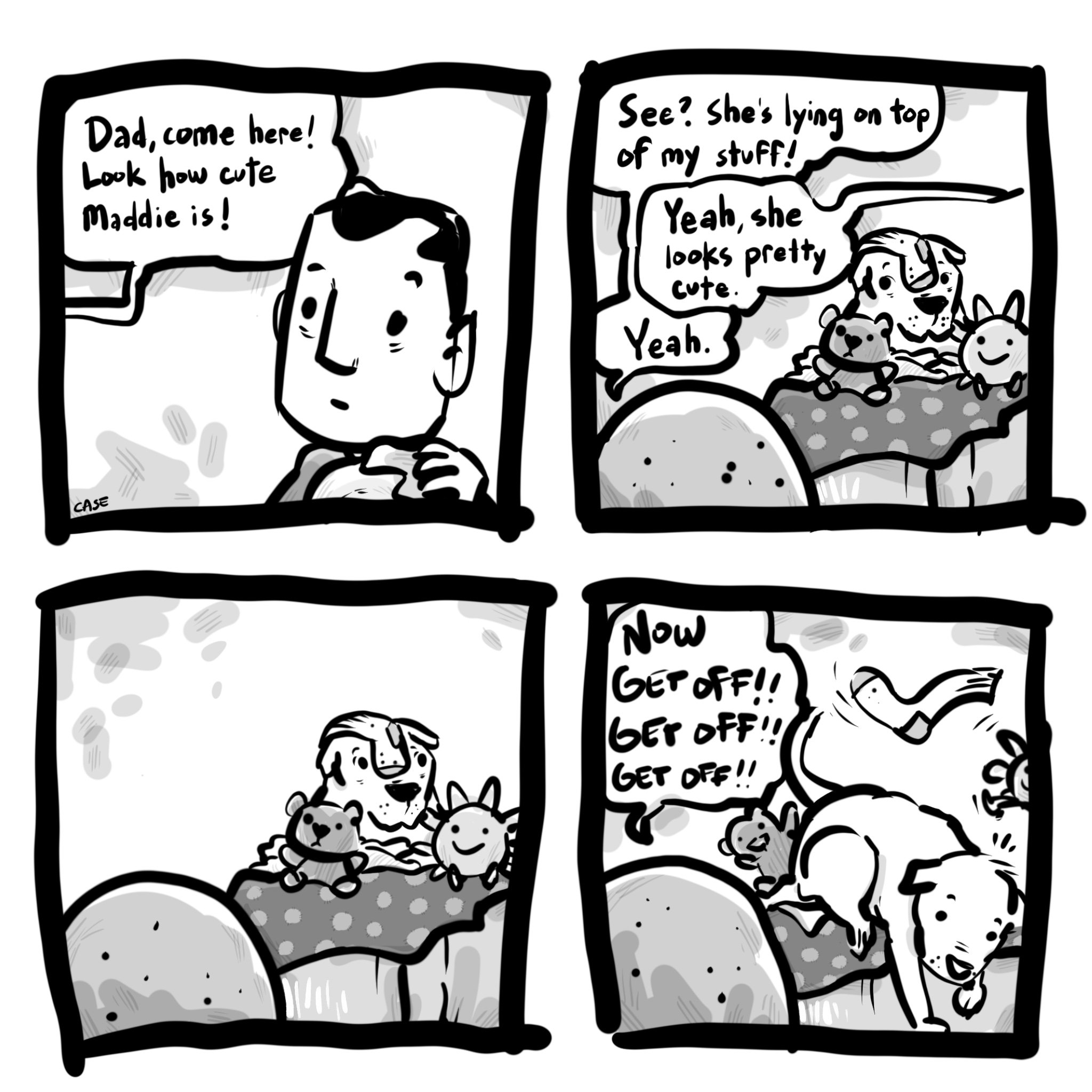 53.jpg