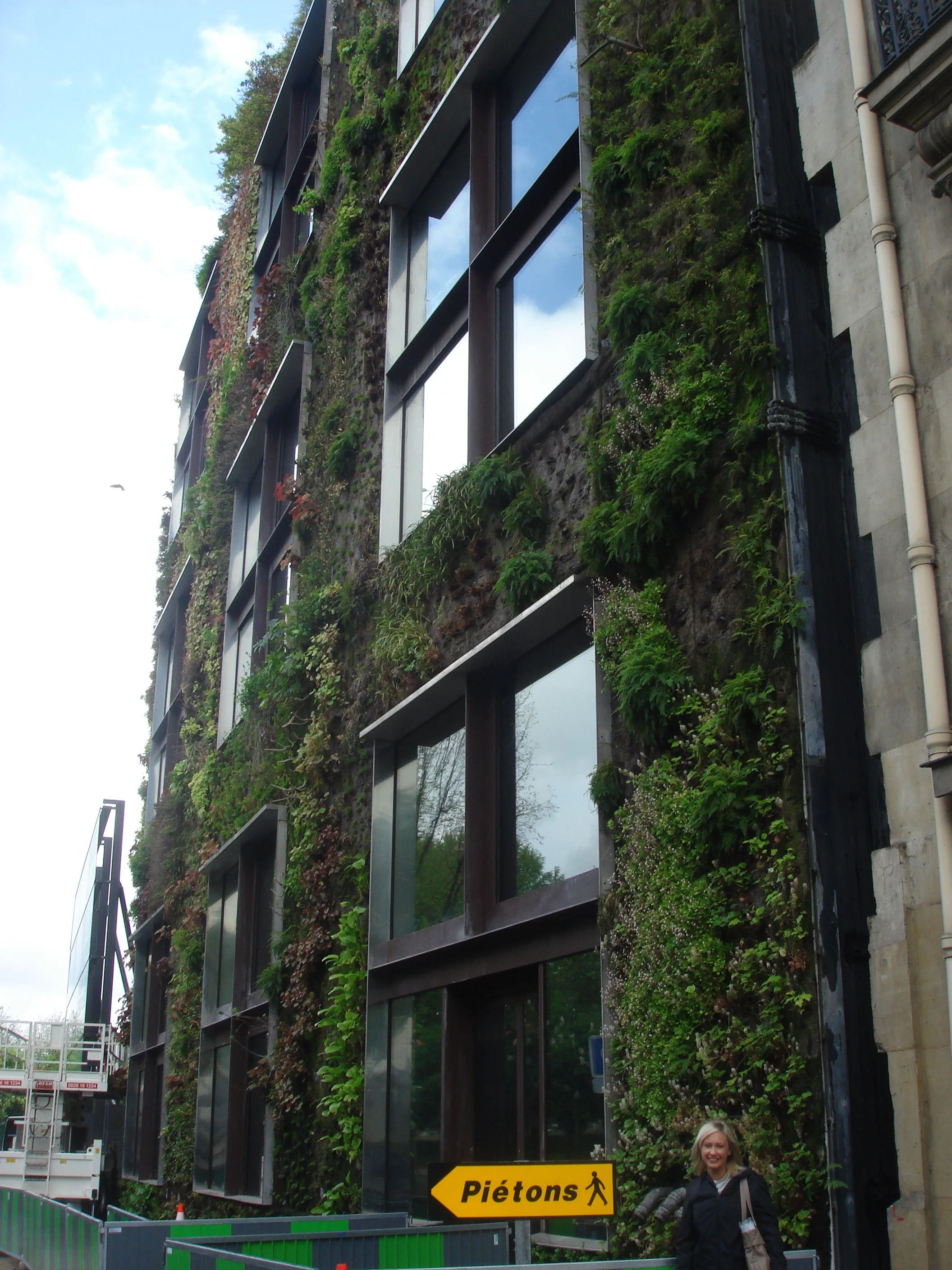 13 Quai Branley, Paris green wall photograph courtesy of Zoë Zimmerman.JPG