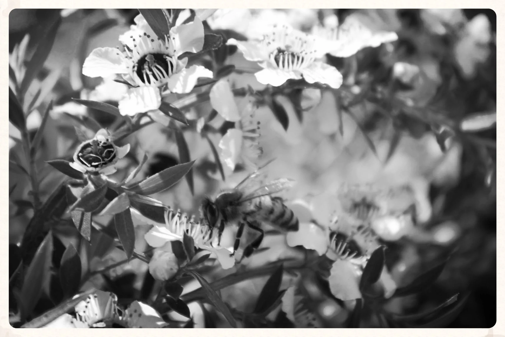 Urquharts Bay, Whangarei, New Zealand