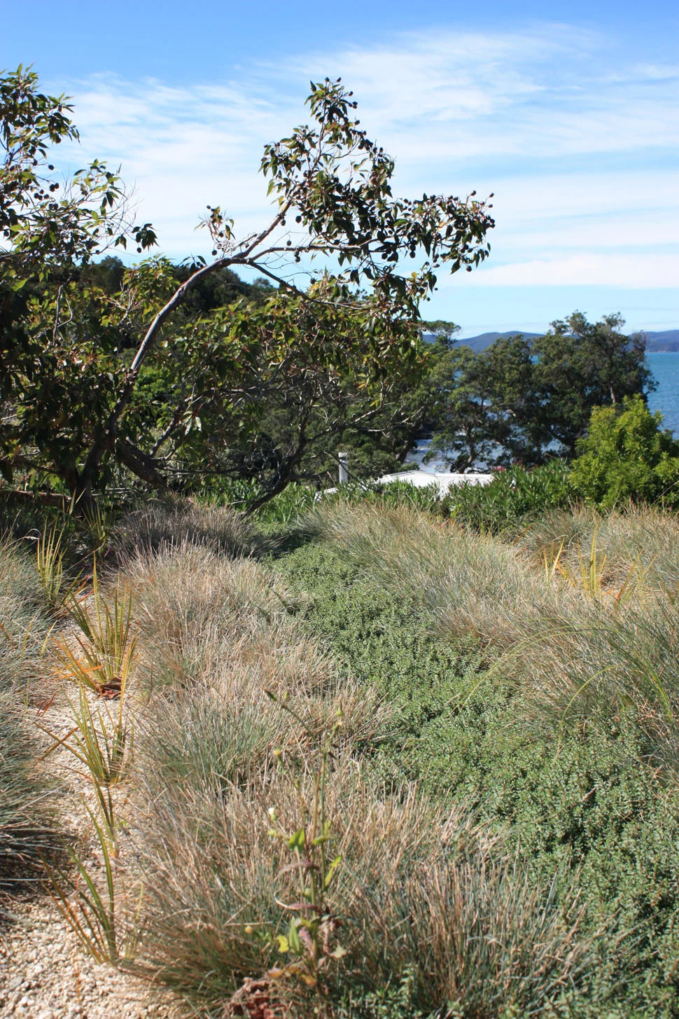 private garage 3.jpg