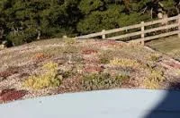 private sleepout 3.jpeg