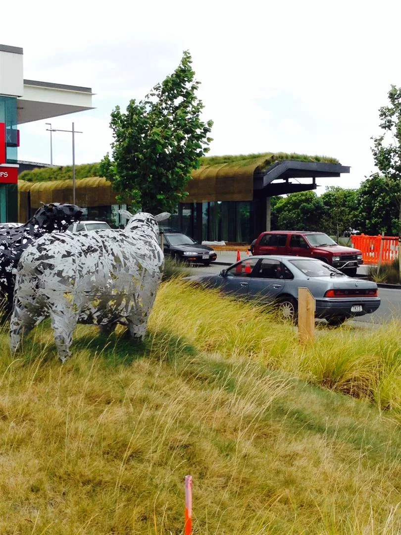 The Cloak, Auckland Airport
