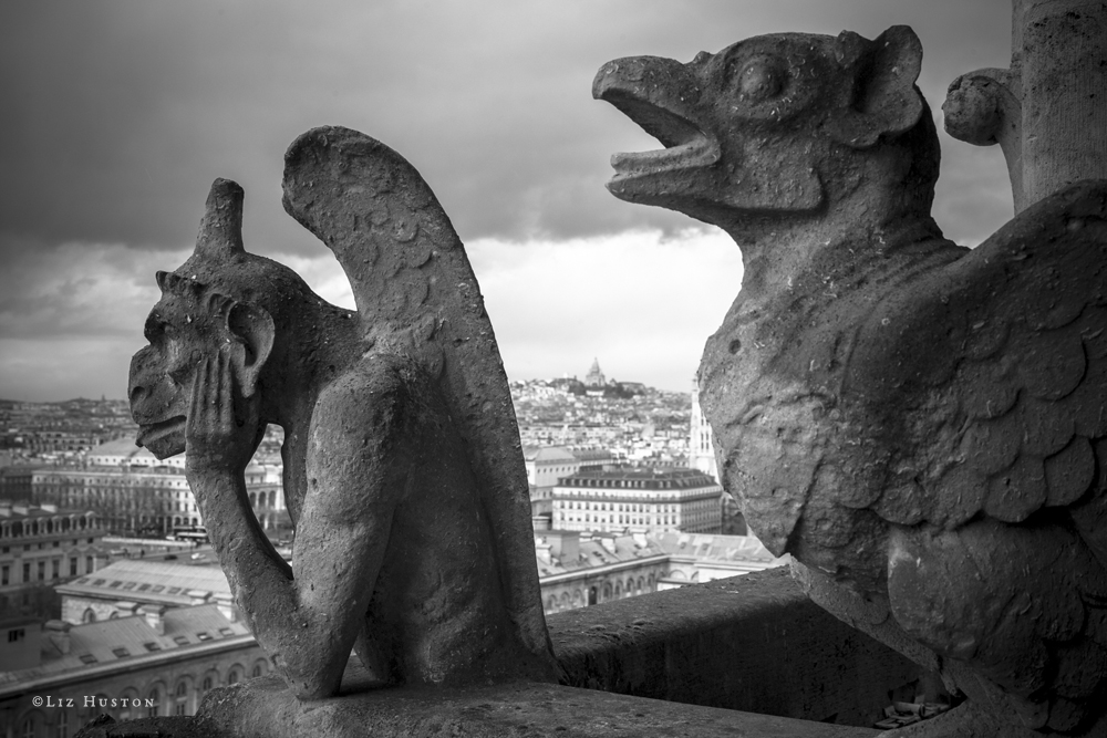 Atop Notre Dame