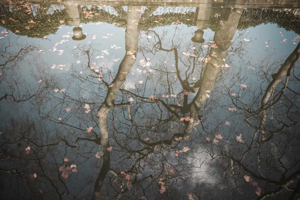 Luxembourg Reflections