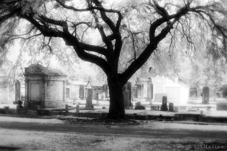 Metairie_LizHuston.jpg