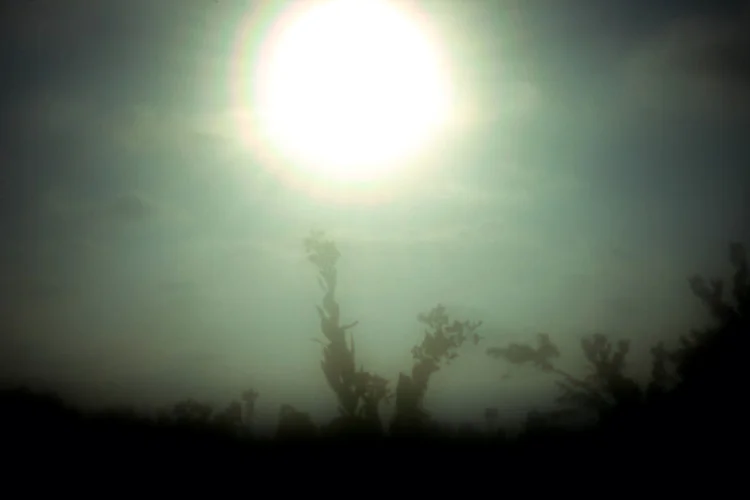 08_pinhole_LizHuston.jpg