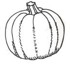 Pumpkin.jpg