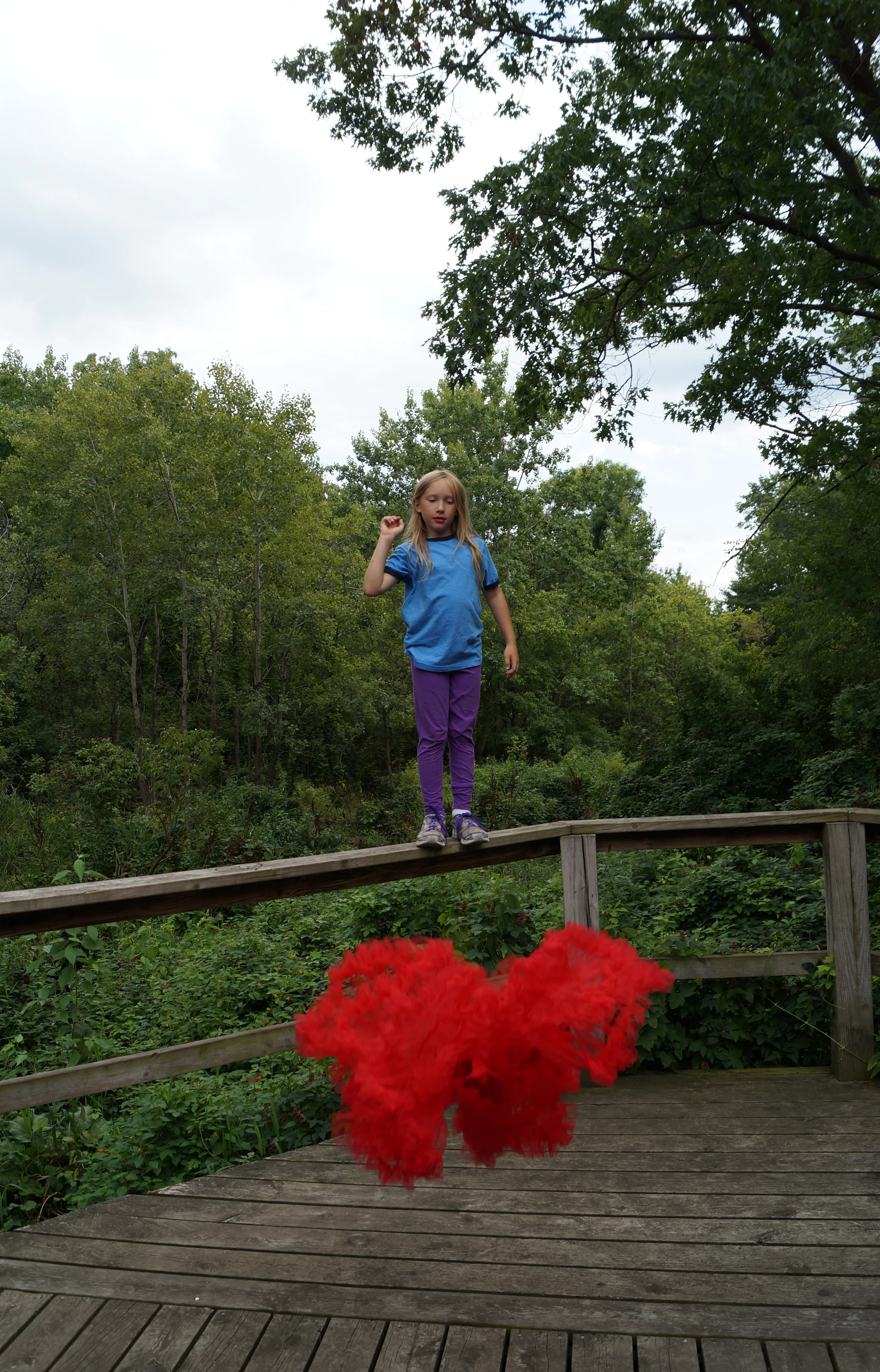 cropped drop tutu.jpg