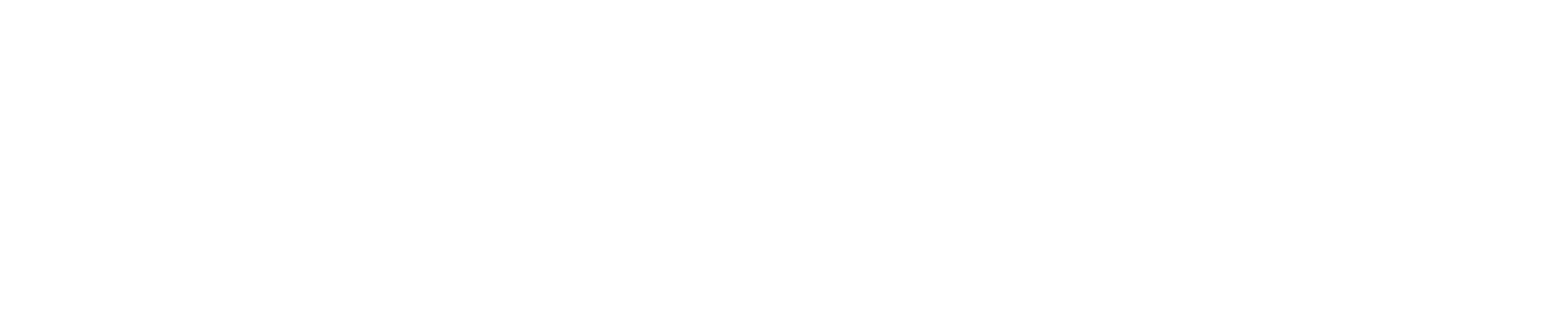 nz_title.png