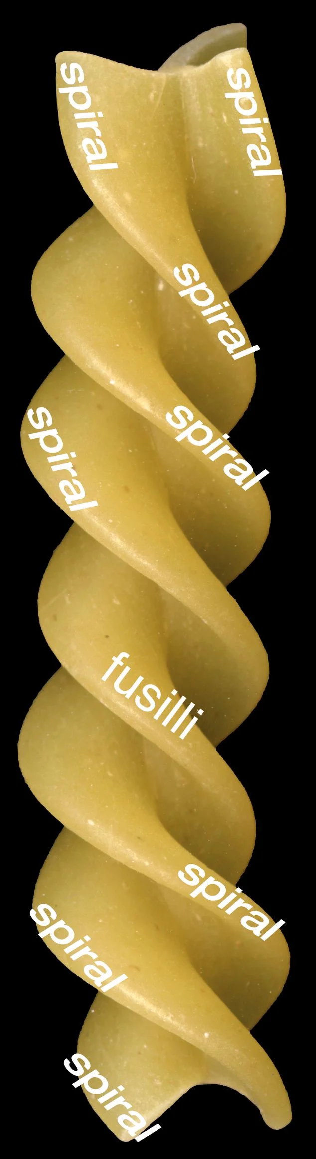 Fusilli Spiral