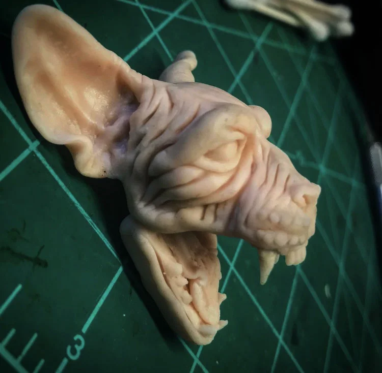 Sphynx Cat