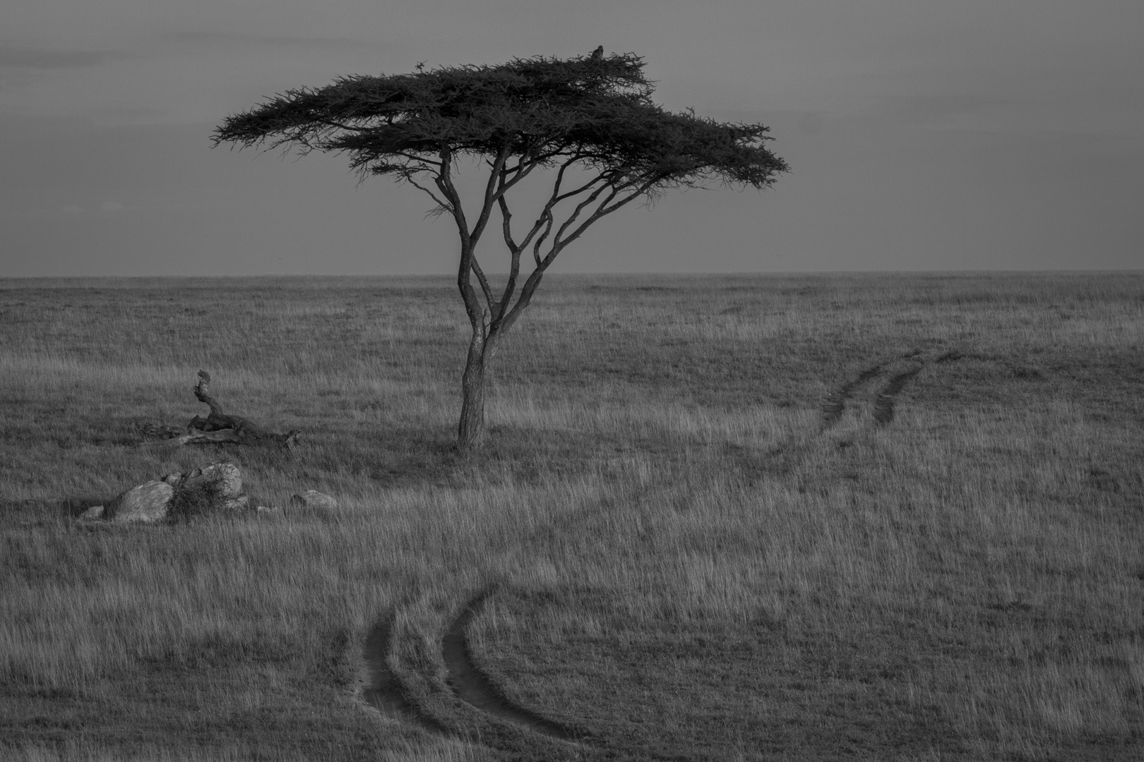  Serengeti National Park 