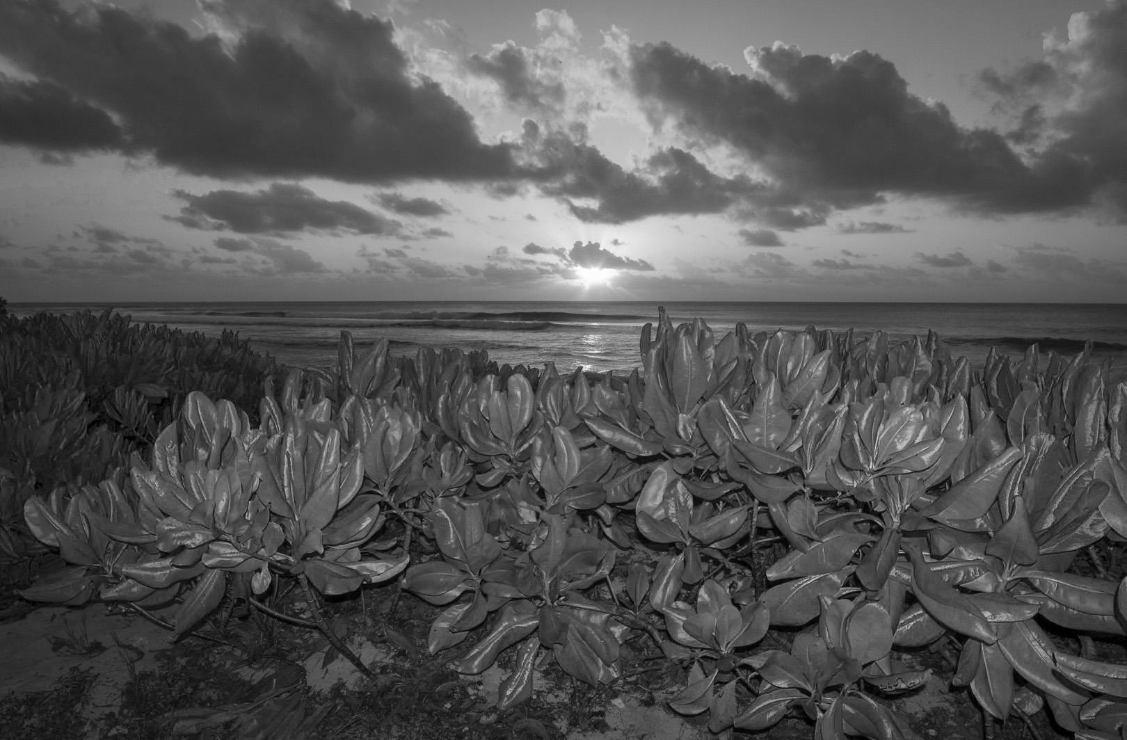 Seychelles_28 (1).jpg