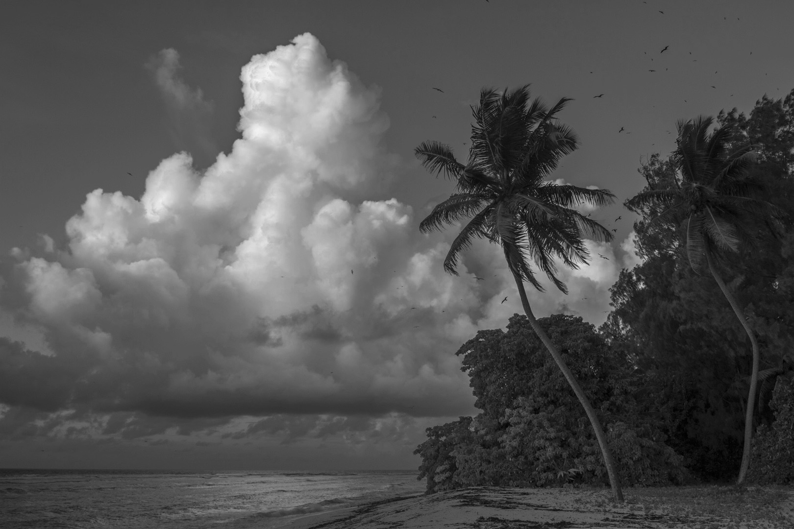 Seychelles_60.jpg