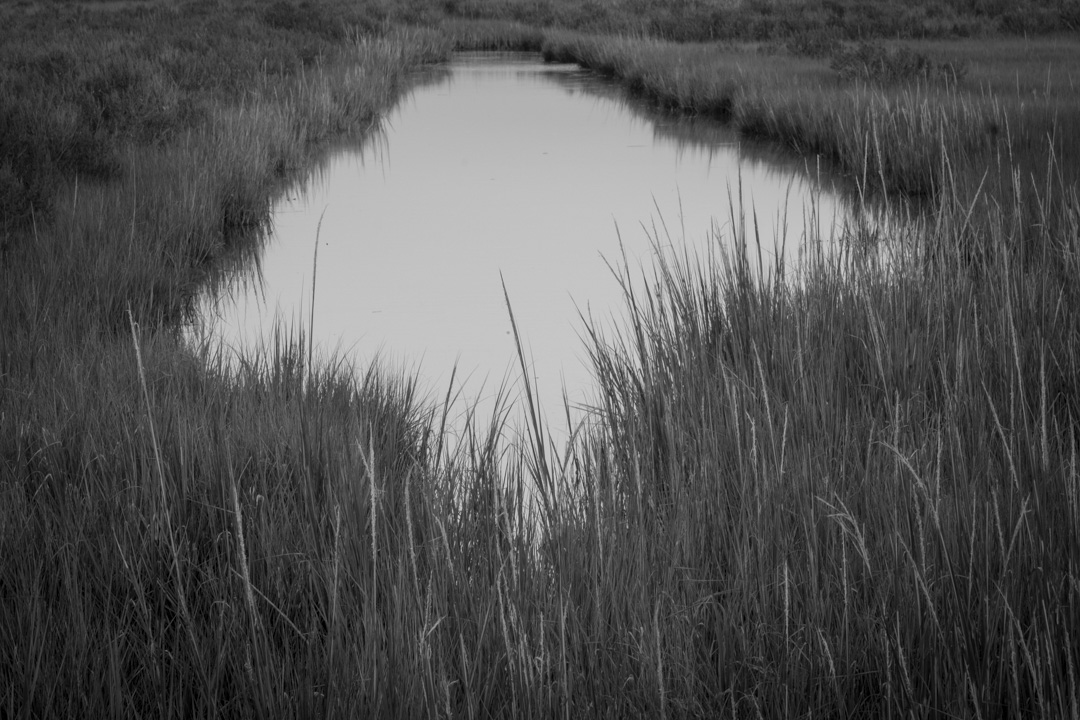 Marsh ditch