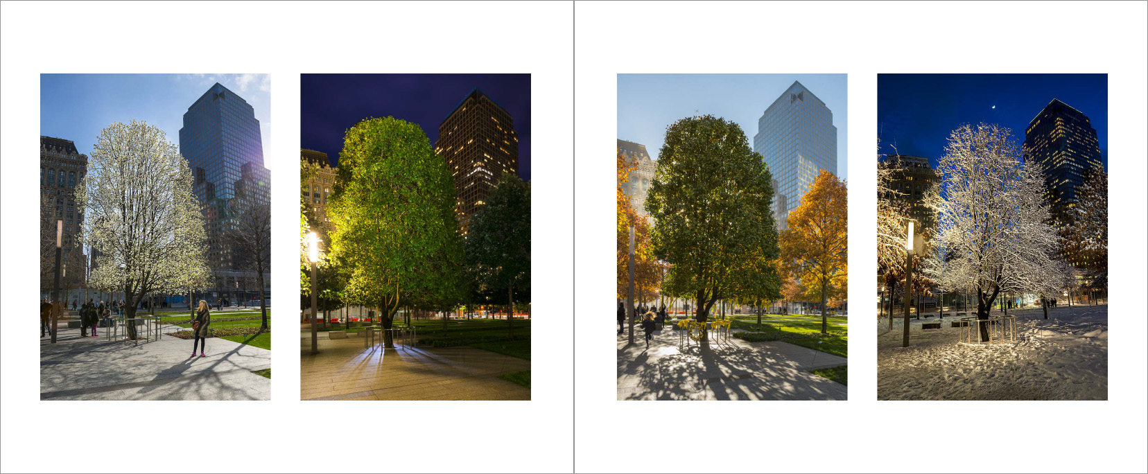 Trees_-20.jpg