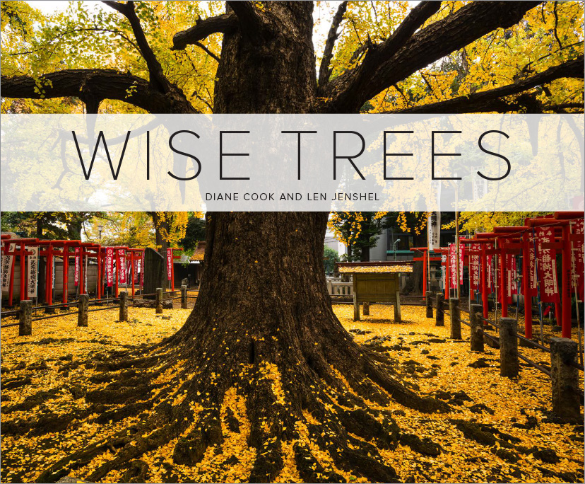 Trees_Covers-2.jpg