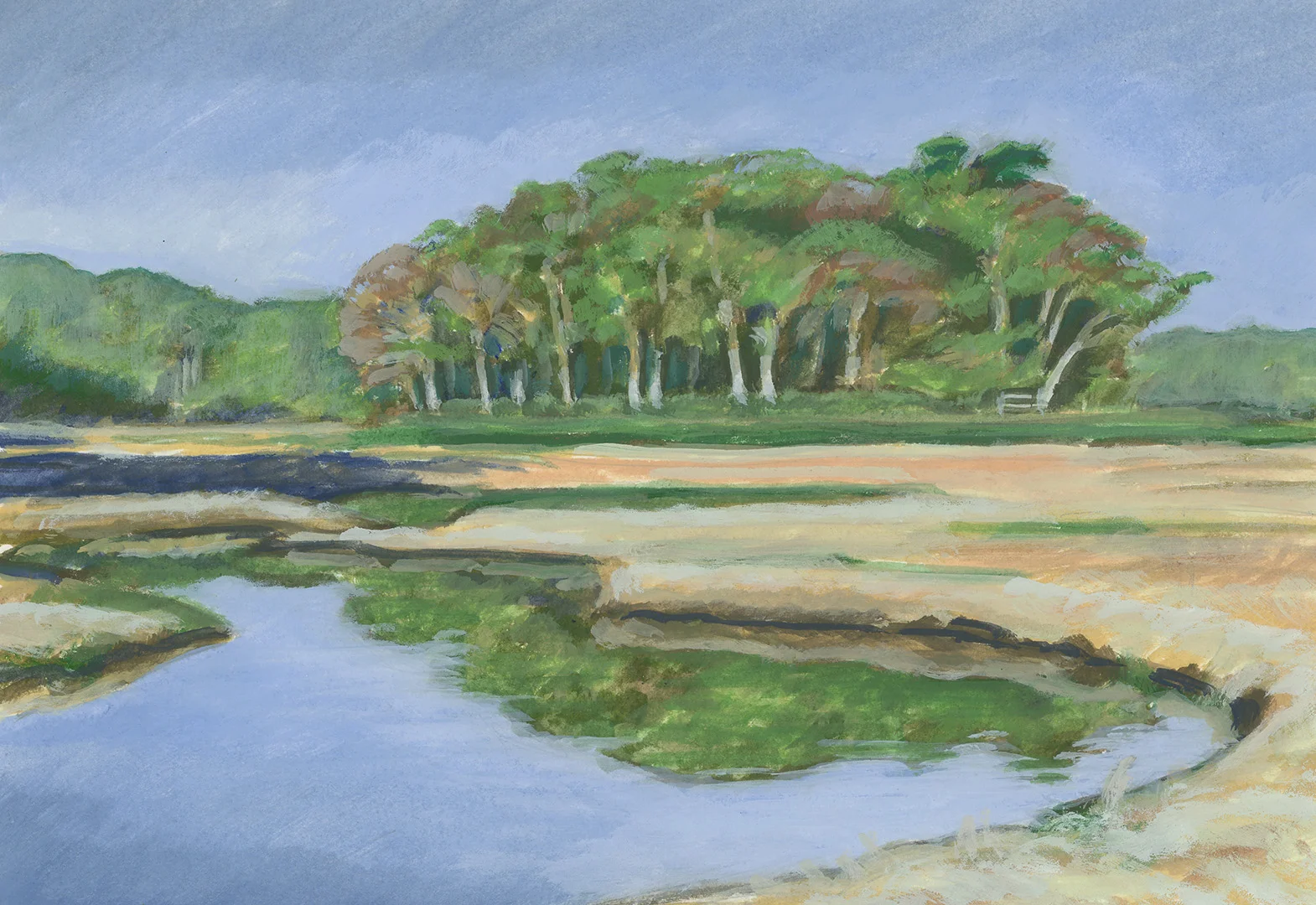 Rachel Carson Wildlife Refuge, York, ME. May 2019