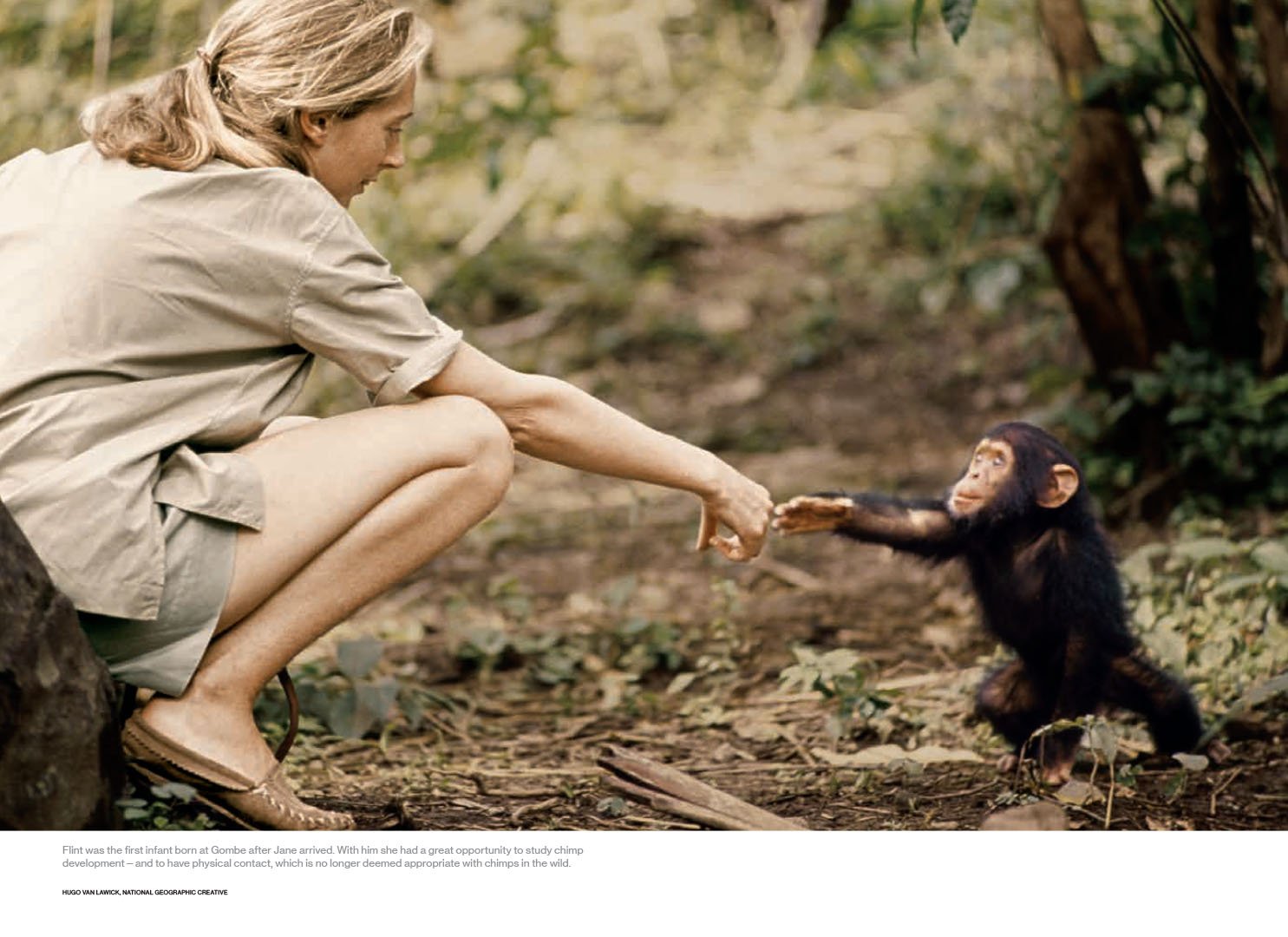 Jane Goodall_MM8481_PR-8.jpg