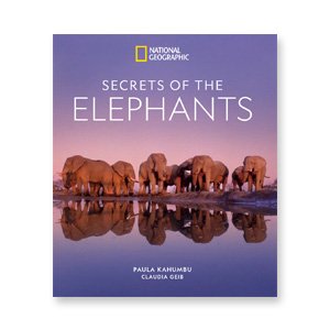 Elephants_teaser.jpg