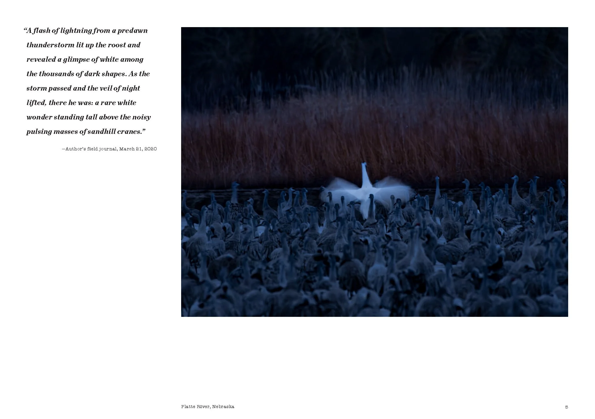 Whooper_book_REL_8-19-24_Page_003.jpg