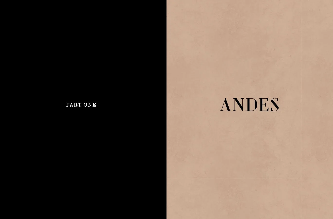 AMZ_for website-2-4.jpg