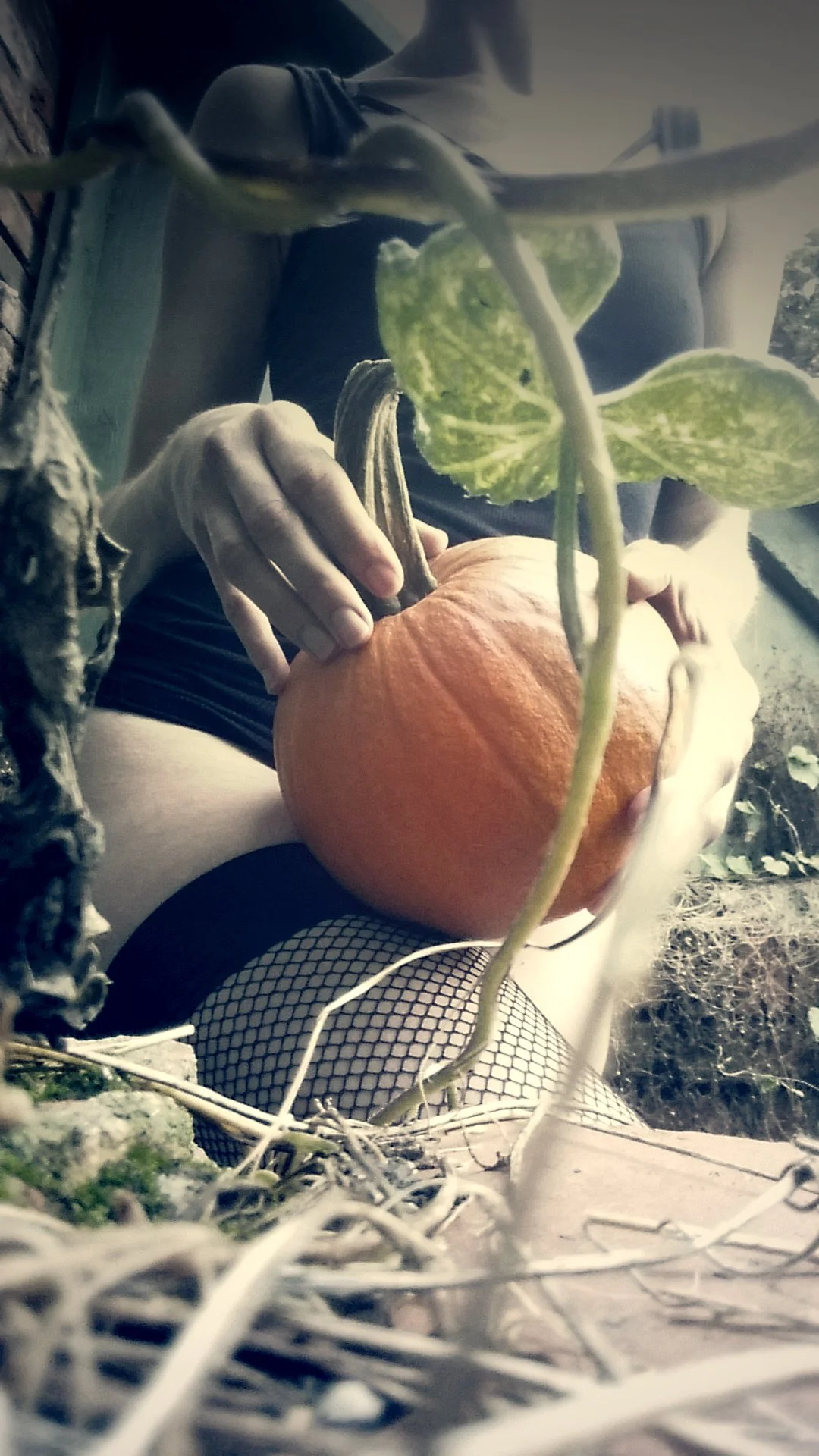 PumpkinPatch_02_©2014-2015_TheFemmeProject.jpg