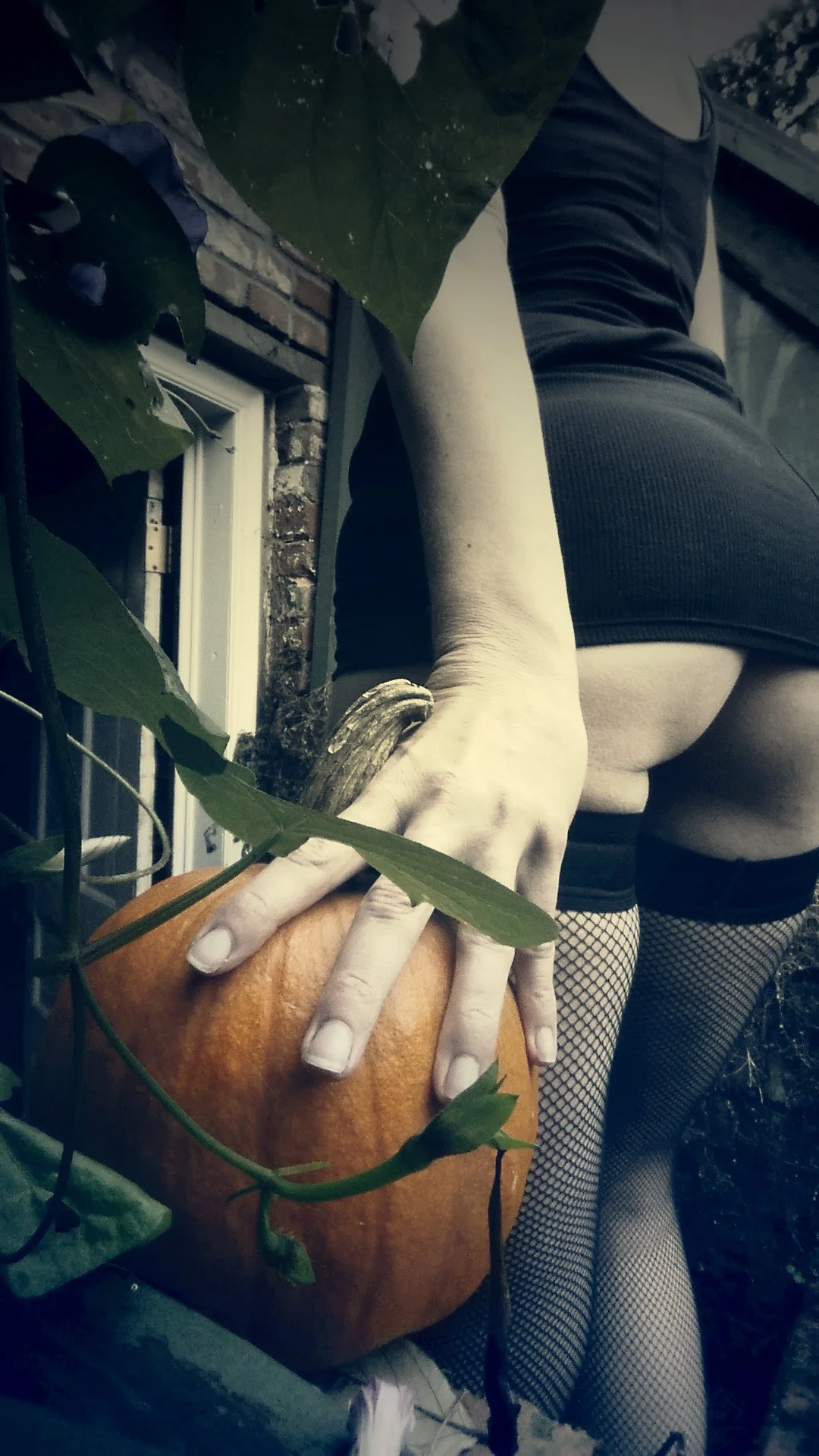 PumpkinPatch_03_©2014-2015_TheFemmeProject.jpg