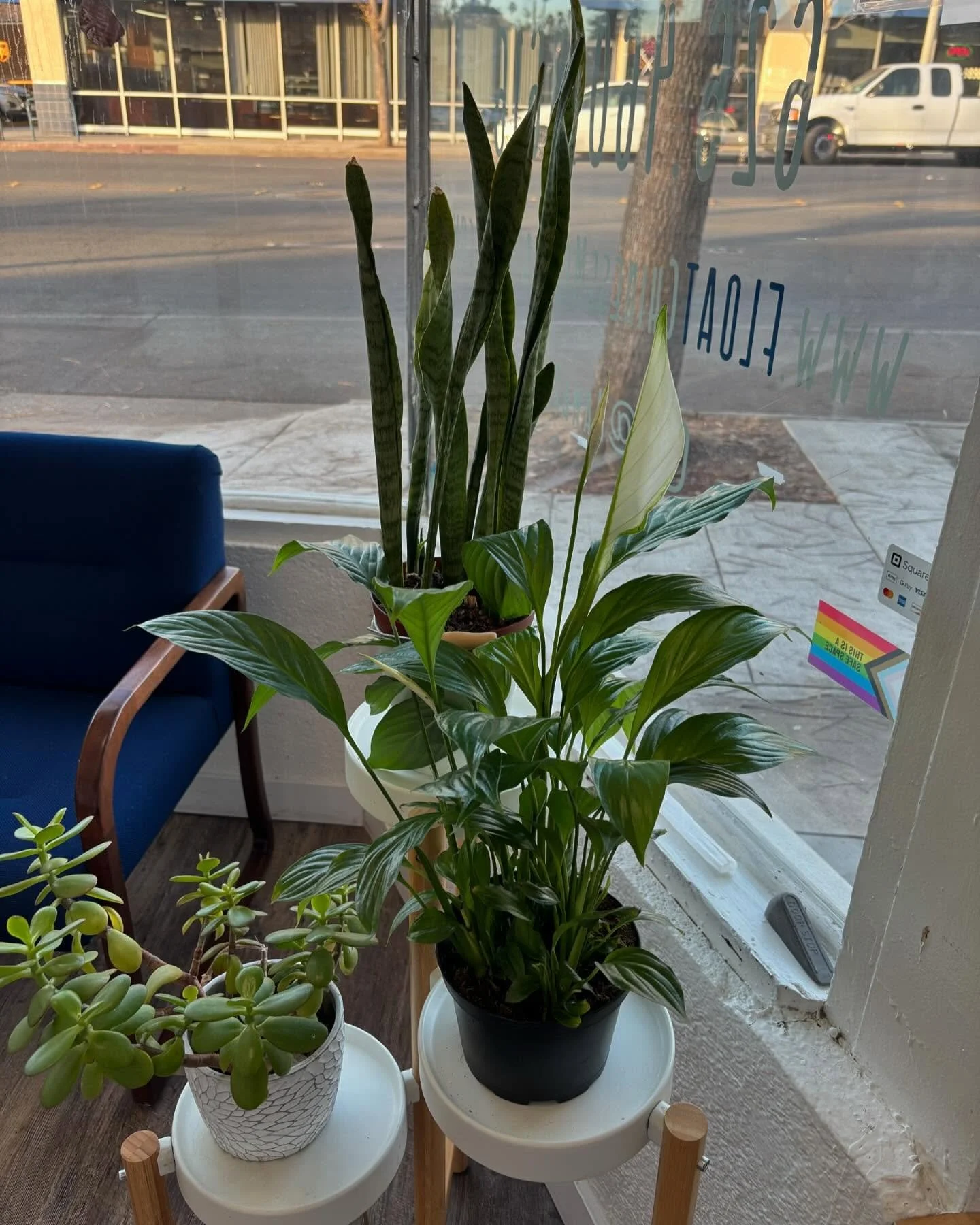 After thorough restoration and cleaning, I reopened FLOAT yesterday. The peace lily just surprised me with a fresh flower: a reminder of our resilient community. A reminder of how new life can bloom from darkness. 
💕
My kids and dog and I are still 