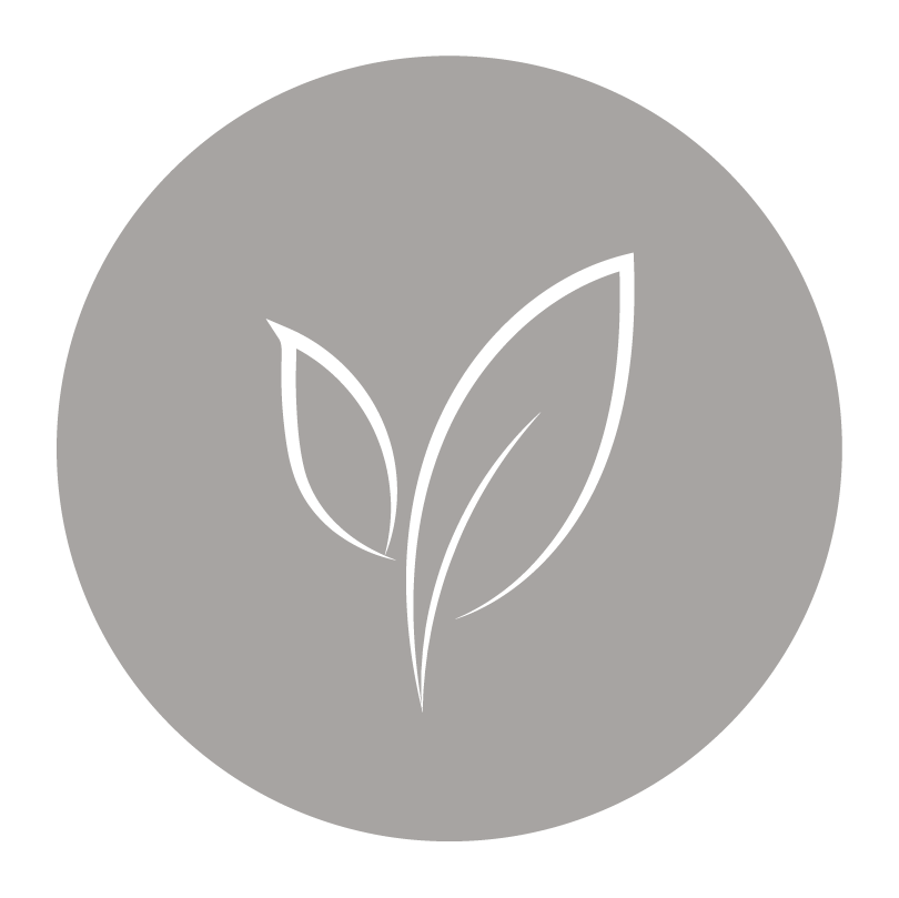 ALL-Bodycare-Illustrations-Web_3-Environment-Circle-Stone-Small.png