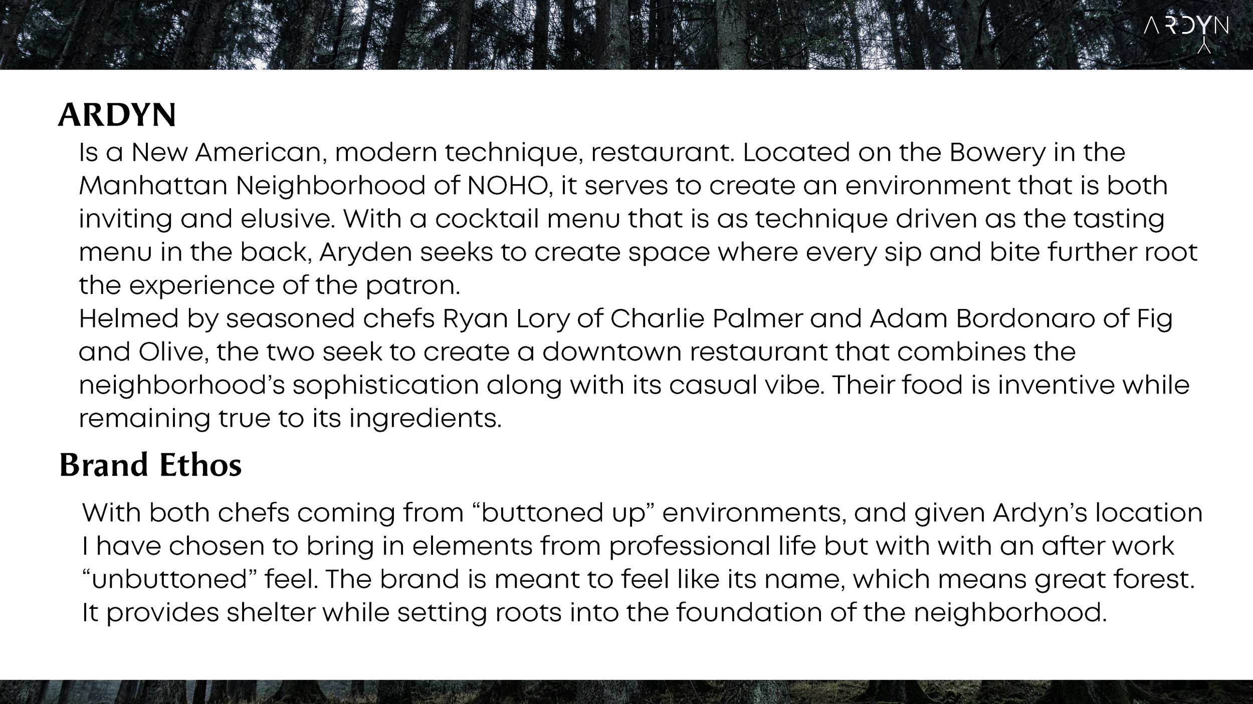 Ardyn Proposal_Page_02.jpg