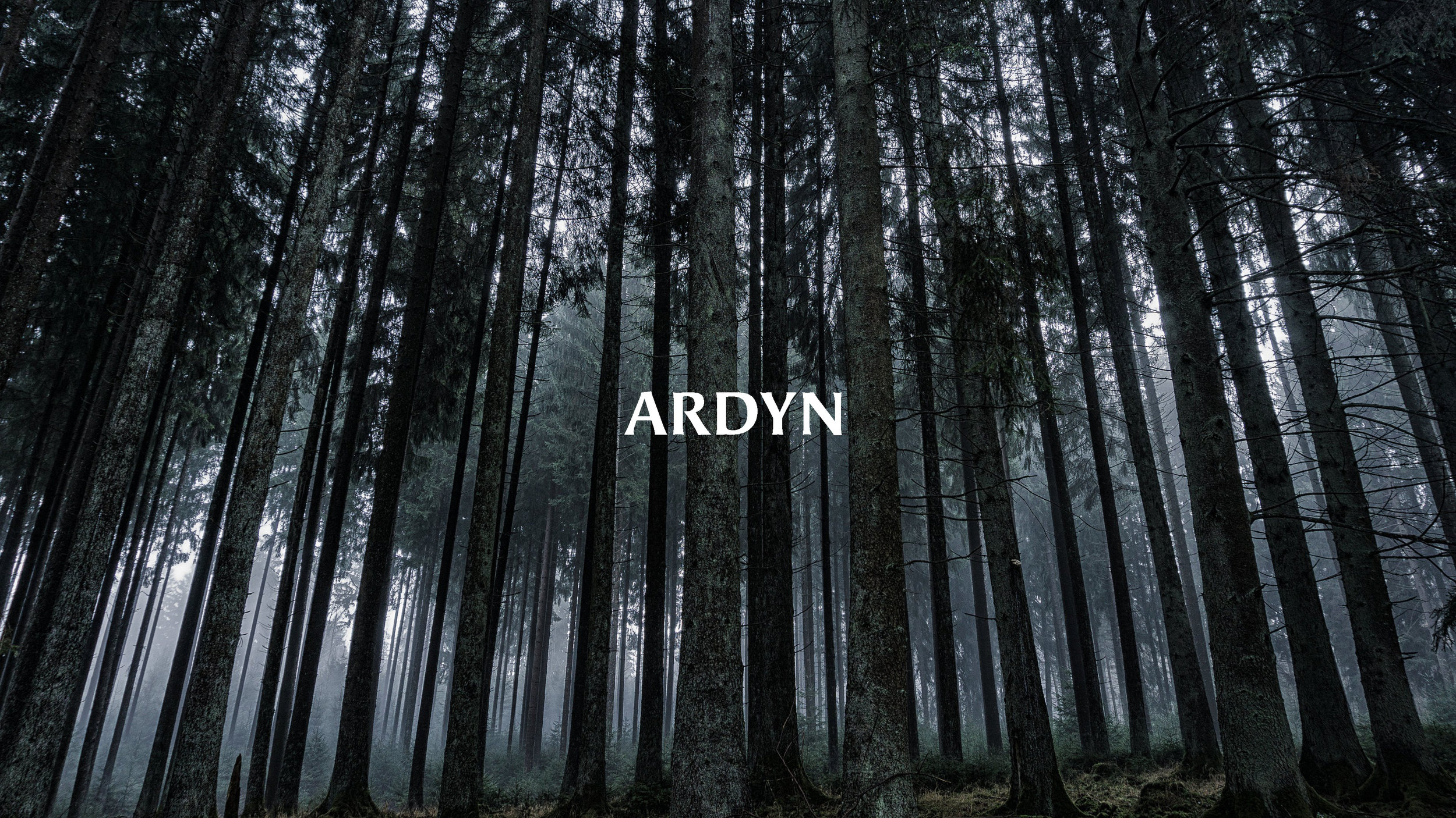 Ardyn Proposal_Page_01.jpg