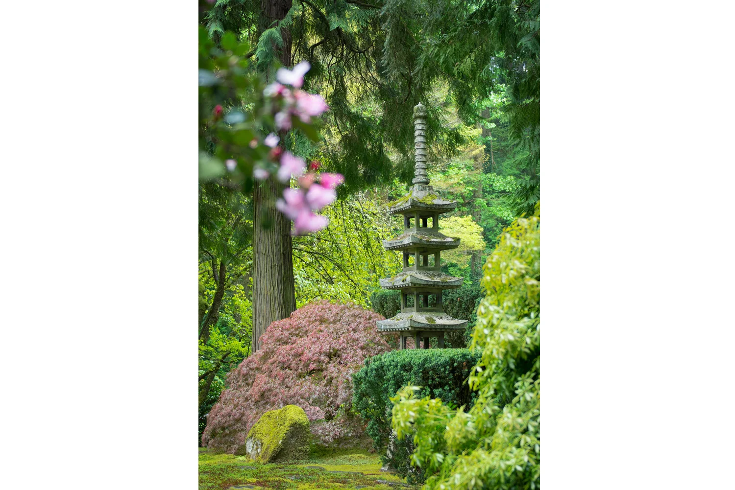 Portland Japanese Garden