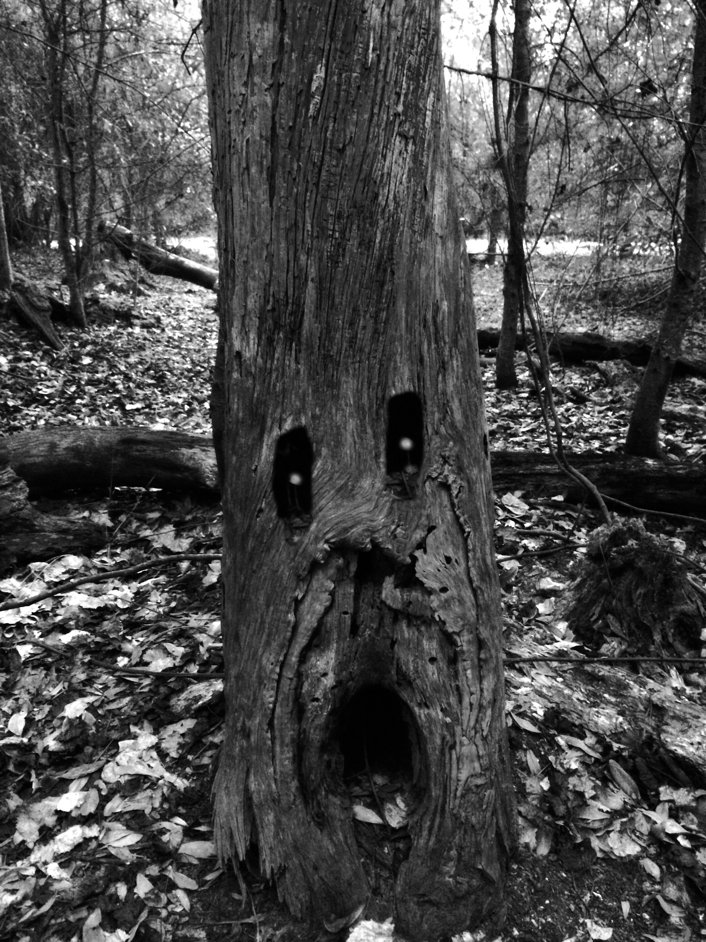 Tree_in_pain_no_fire.png